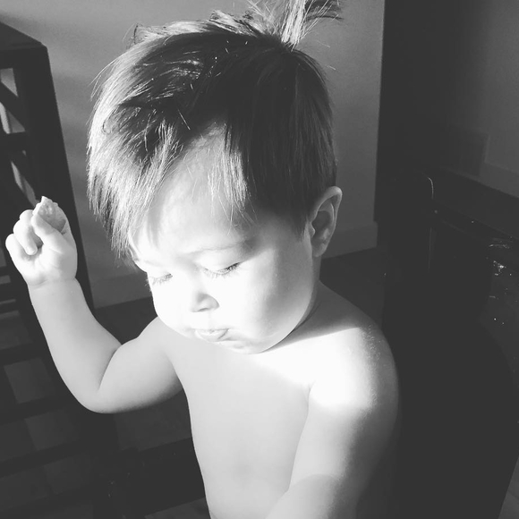 Meet your Posher, Curtis - Picture 1 of 1